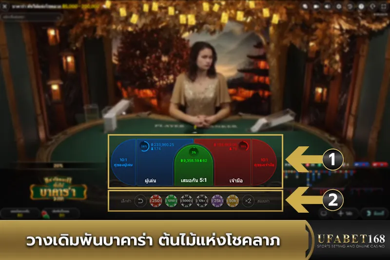 การวางเดิมพัน Baccarat Tree of Fortune