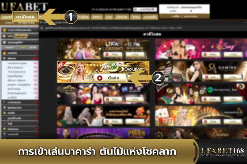 การเข้าเล่น Baccarat Tree of Fortune