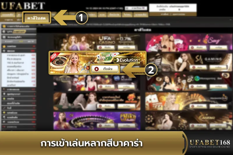 การเข้าเล่น Multicolor Baccarat