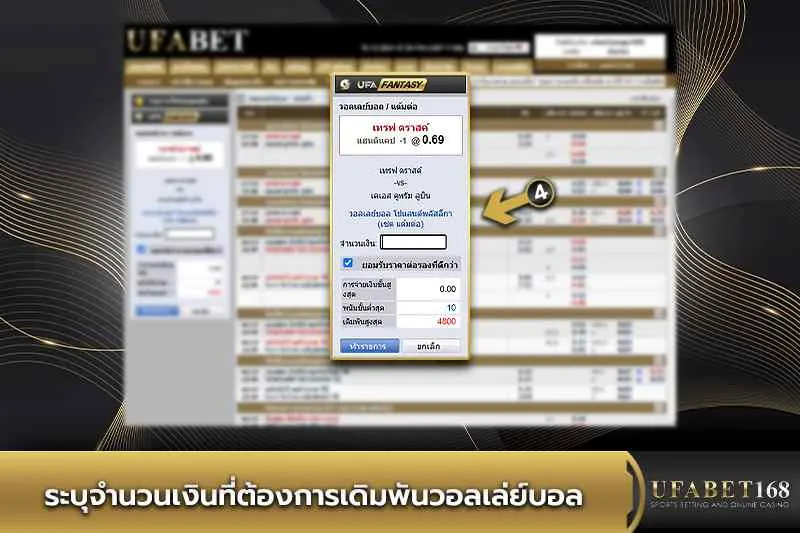 ระบุจำนวนเงินเดิมพันวอลเลย์บอล