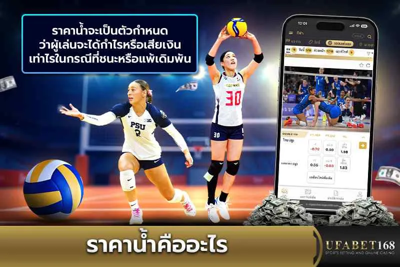 ราคาน้ำคืออะไร ทำไมจึงสำคัญต่อการแทงวอลเลย์บอล