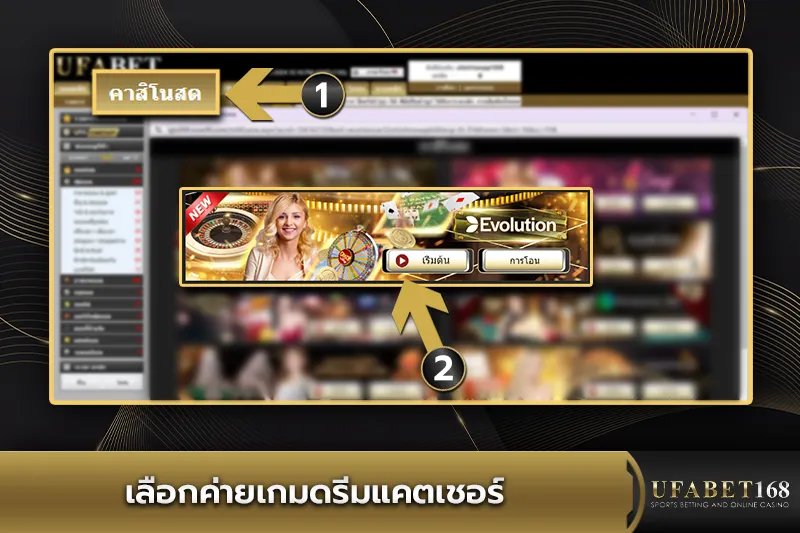 เลือกค่ายเกมดรีมแคตเชอร์