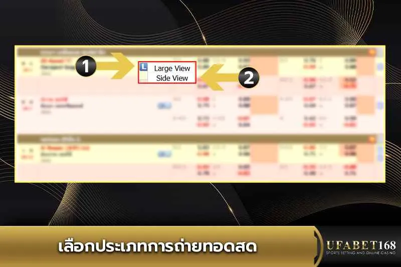เลือกประเภทการถ่ายทอดสด